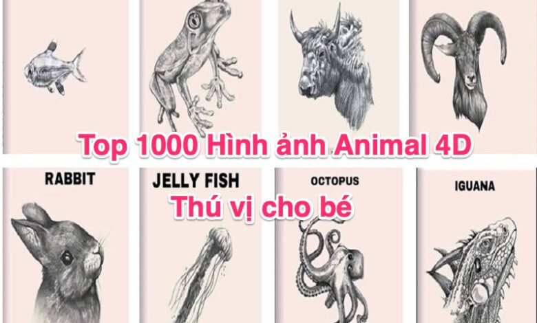 Top 1000 Hình Ảnh Animal 4D Thú Vị Cho Bé