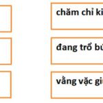 Bộ đề ôn thi học kì 2 môn Tiếng Việt lớp 1 sách Cánh diều